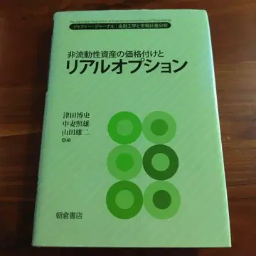비유동성 자산의 가격 책정과 리얼 옵션