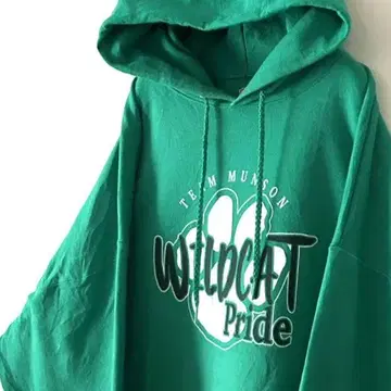 헤인즈 WILDCATS Pride 맨투맨 후드티 XL 그린 구제 의류
