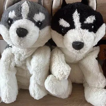 흐물흐물 쫀득쫀득 시베리안 허스키 봉제 인형