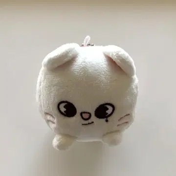 straykids skzoo 지니레트 백참 츠무츠무