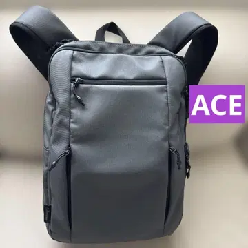 ACE 에이스 Darwin 남성용 비즈니스 백팩 그레이