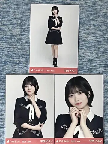 노기자카46 브로마이드 나카니시 아루노
