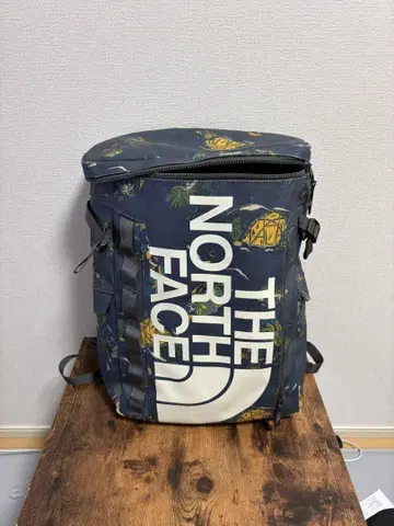 THE NORTH FACE 백팩