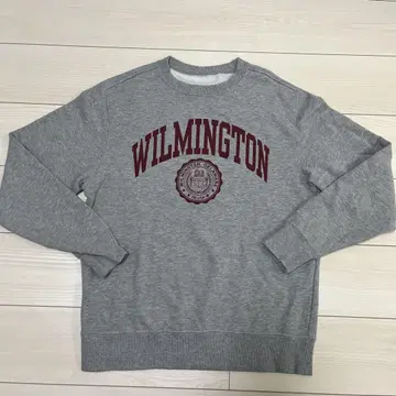 Champion WILMINGTON 스웨트 셔츠 그레이