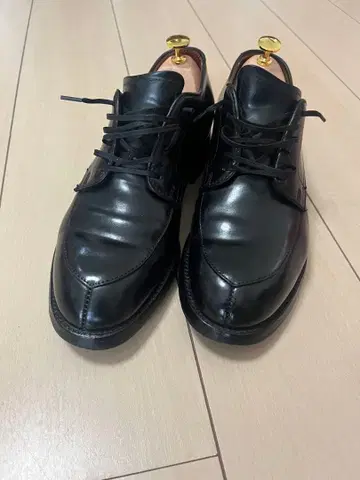 알든 54332 블랙 코도반 US 7.5D beams