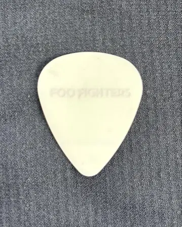 FOO FIGHTERS 후 파이터즈 네이트 베이스 피크