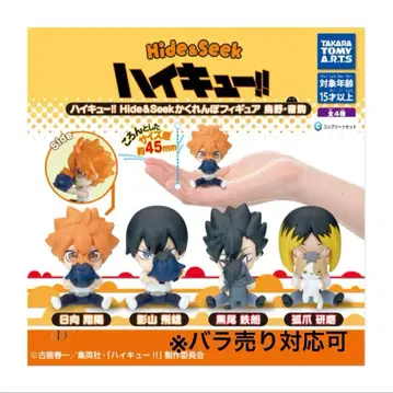 하이큐!! Hide&Seek 숨바꼭질 피규어 카라스노 네코마