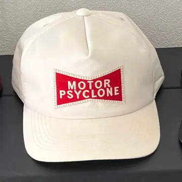 MOTOR PSYCLONE 프리휠러스