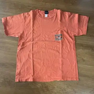 HARLEY-DAVIDSON 티셔츠 XL USA