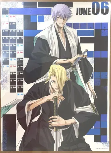 BLEACH 2007년 달력 이치마루 긴, 키라 이즈루