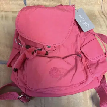 핑크 플랩 백팩