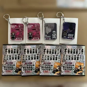 BLEACH EX 시크 아크릴 키링