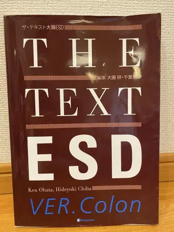 더 텍스트 대장ESD