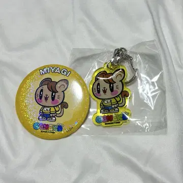 카타요세 료타 제 고양이