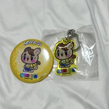 카타요세 료타 제 고양이