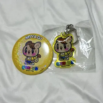 카타요세 료타 제 고양이