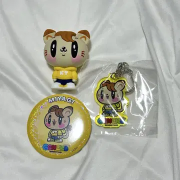 카타요세 료타 제 고양이
