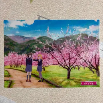 터키 클리어 파일 4종