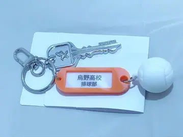 하이큐 고교명 포함 열쇠 참 키링 카라스노 고교