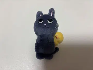 RIIZE 원빈 토냥이 봉제 인형