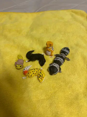 레오파드게코 파충류 피규어 5개 세트