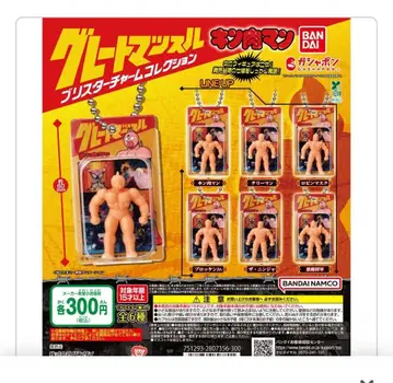 가격 인하 근육맨 그레이트 머슬 블리스터 참 6개 세트