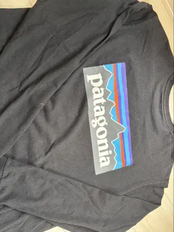 Patagonia 블랙 롱T