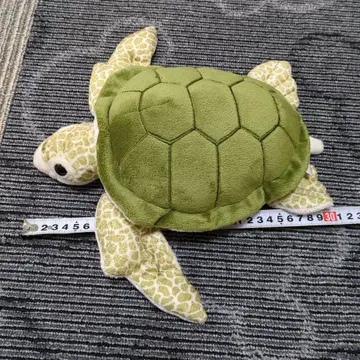 푸른바다거북 바다거북 봉제 인형 거북이