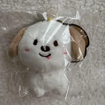 [ 당일 발송 가능 ] RIIZE 앤톤 몽룡이 10cm 봉제 인형 새상품