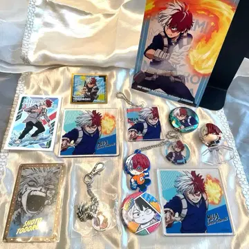 토도로키 쇼토 히로아카 정리 원화전