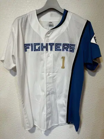 FIGHTERS BIGBOSS 저지