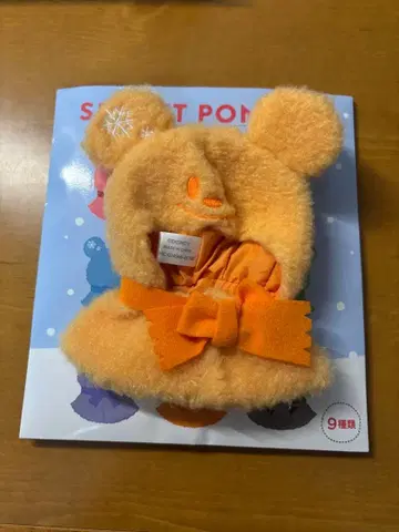 디즈니 시크릿 판초