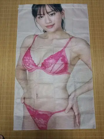 아야세 하루카 노렌 미사용 새상품!
