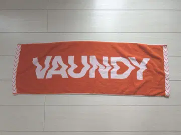 VAUNDY 타월