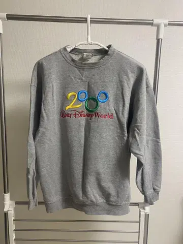 Walt Disney World 맨투맨