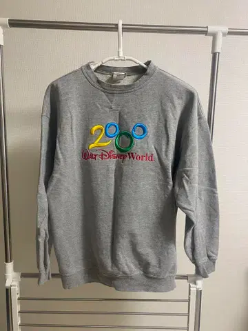 Walt Disney World 맨투맨