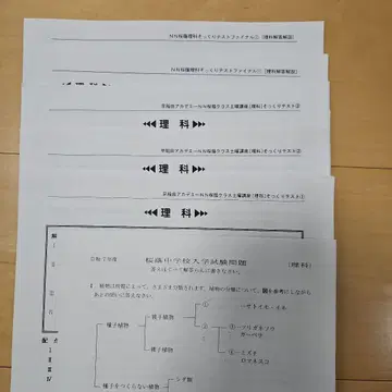 NN벚꽃인 소리 테스트 과학