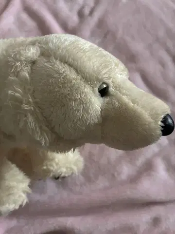 북극곰 봉제 인형