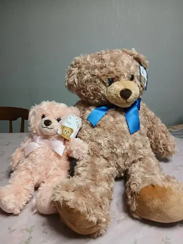 가격 인하 새상품 허니 데디베어 라지&걸