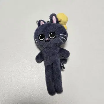 RIIZE 원빈 발길이 키링