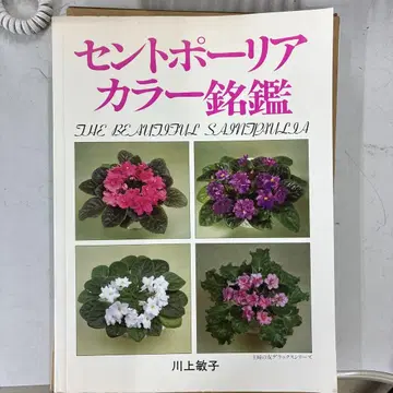 컬러 명감 카와카미 토시코