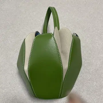 VASIC 그린 핸드백
