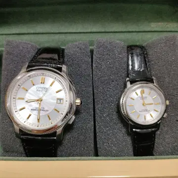 최종 가격 인하 CITIZEN 에코 드라이브 엑시드 페어 워치