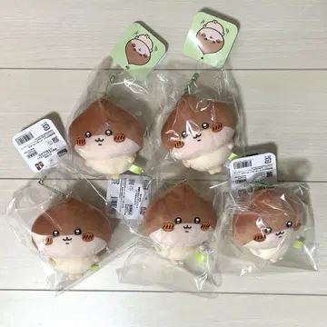 치이카와 (먼작귀) 계절이야 마스코트 밤만쥬 5개 세트