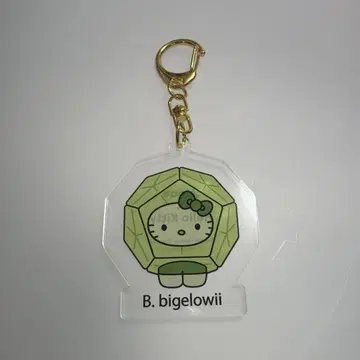 오사카 만박 EXPO2025 조 키티 키링 B.bigelowii