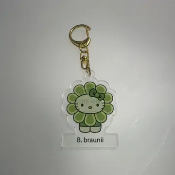 오사카 만박 EXPO2025 모 키티 키링 B.braunii