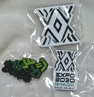 사우지 핀 배지