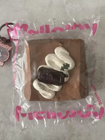 mellojoy 티라미수 캐러멜 라떼