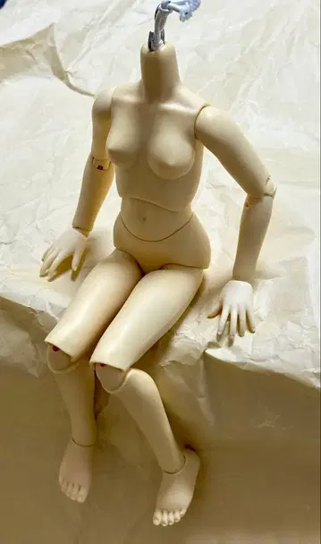 [ 주말 세일 ] 슈퍼돌피 SDC 바디