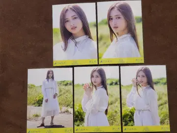 노기자카46 Same numbers 이노우에 와카 브로마이드 5종